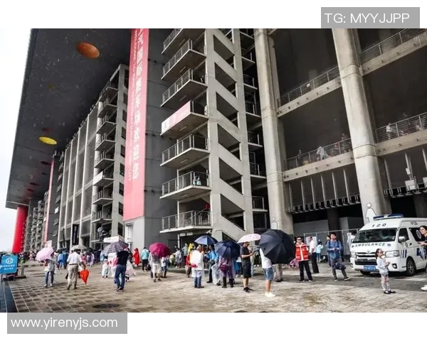 上海排球队耐力表现创新高引发全国关注与热议